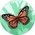 Cecilia D Avatar